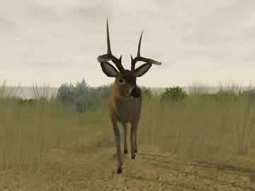 original deer hunter game download